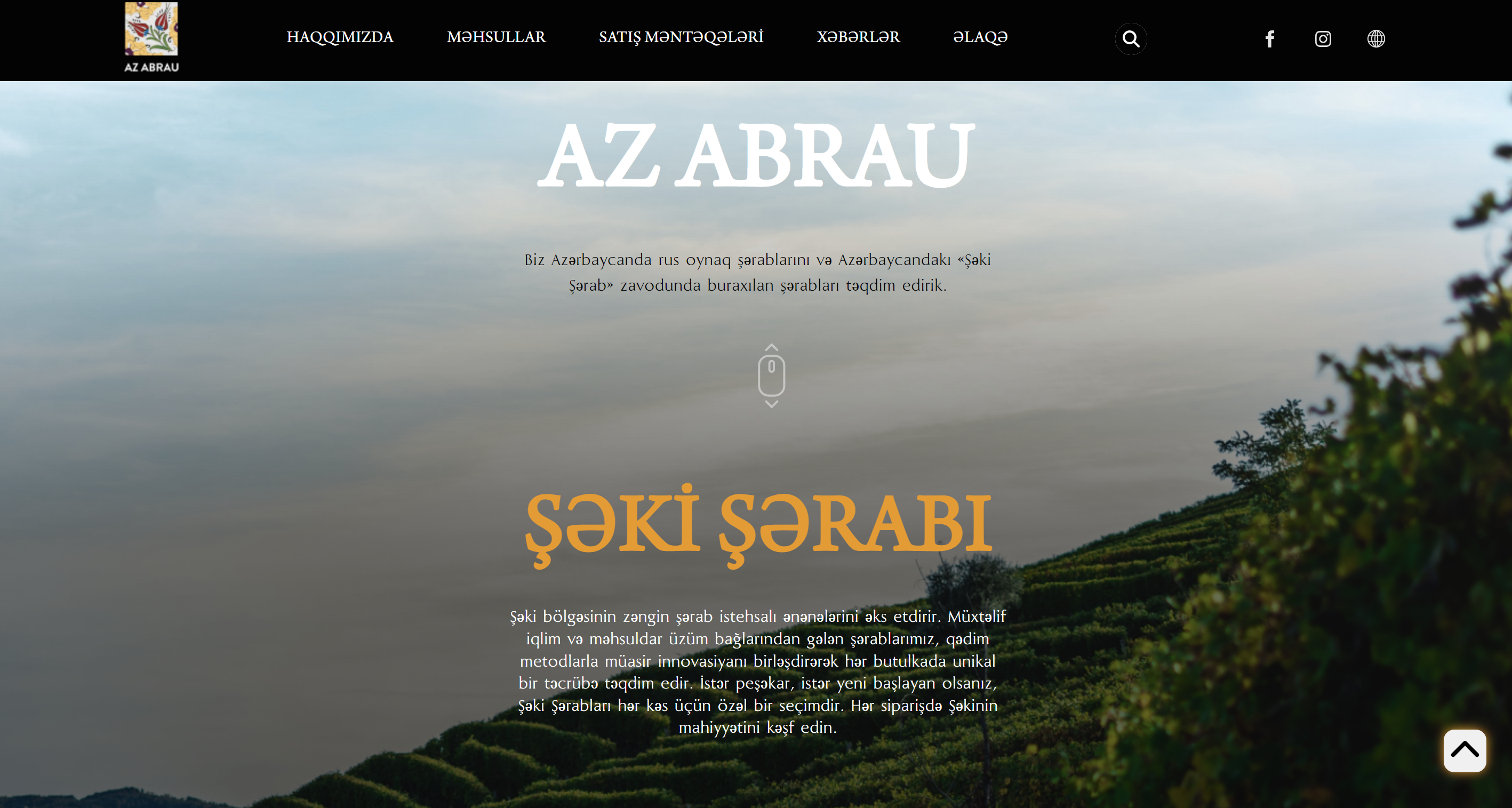 An image of the Abrau-Durso project.